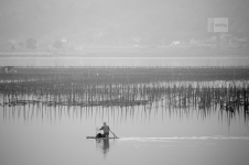 Oyster farm