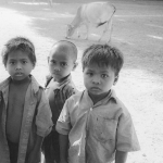 Cambodia 50