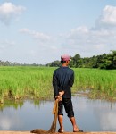 Cambodia 38