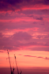 London 7