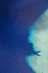 Islands