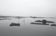 Oyster farm