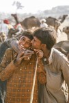 India 61