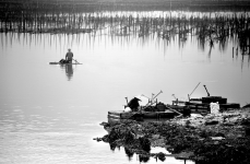 Oyster farm