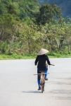Transport