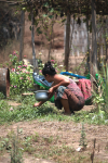 Myanmar