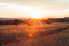 Australia 7