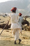 India 66