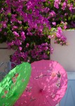 Greece 16