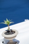 Greece 20