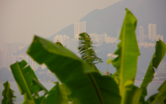 Hong Kong 25