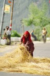 India 40