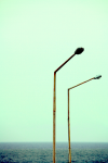 Whatever 1