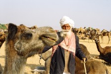 India 74