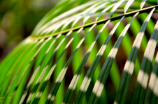 Hong Kong 20