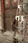 Image 15