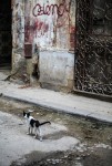 Cuba 12