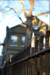 London 6