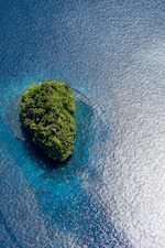 One Good People Homepage Image