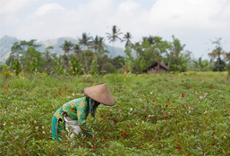 One Good People Homepage Image